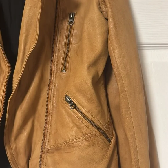 Free People Embellished Leather Jacket 12 - Picture 3 of 15